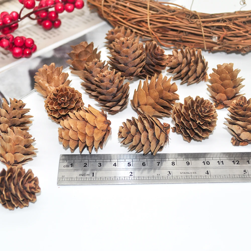 Natural pine cones (8)