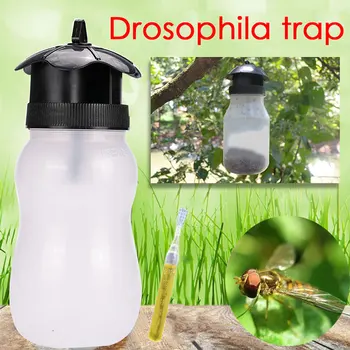 

Insect Trap Fly Catcher Garden Fruit Tool Trap Killer Killer Vegetable Flies Greenhouse Indoor 8Drosophila Plant Supplies
