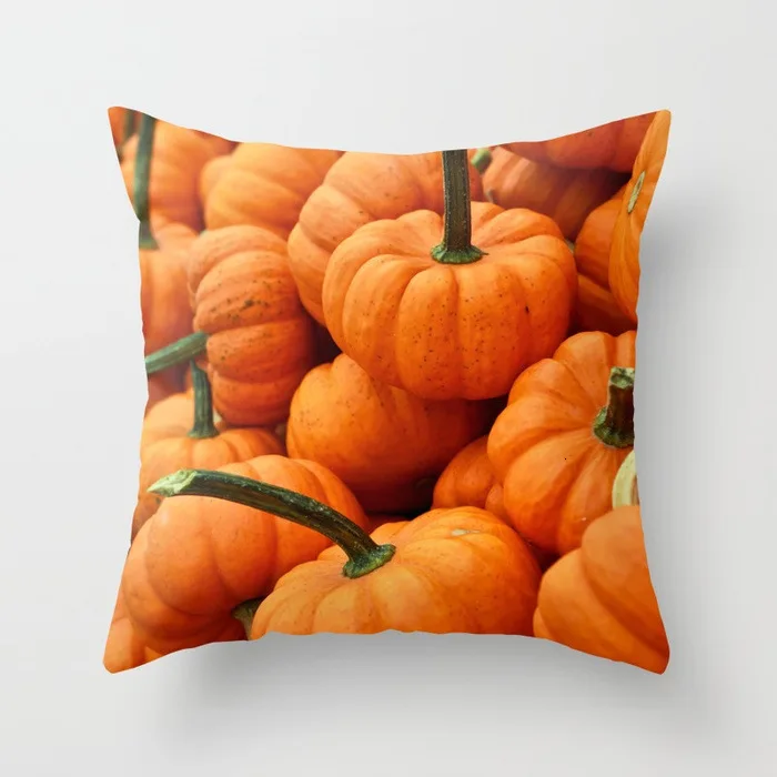 autumn-pumpkins724574-pillows