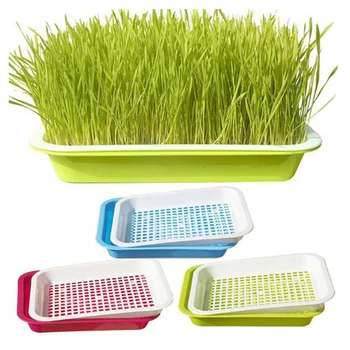 

New Seed Sprouter Tray Double-layer Soilless Culture Beans Hydroponic Nursery Tray Planting Sprout Seedling Tray Garden Supplies