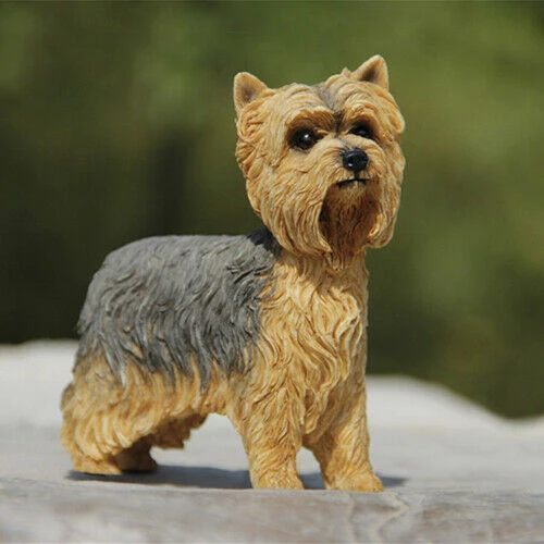 JJM figura Yorkshire Terrier Youkshire, juguete de coleccionista de animales, modelo de PVC, para niños, adultos y niños, regalo|Mascota| - AliExpress