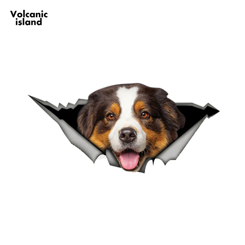 

Brown Australian Shepherd Car Sticker Torn Metal Decal Reflective Stickers Car Decoration Pet Dog Decals 13cm x 6.1cm