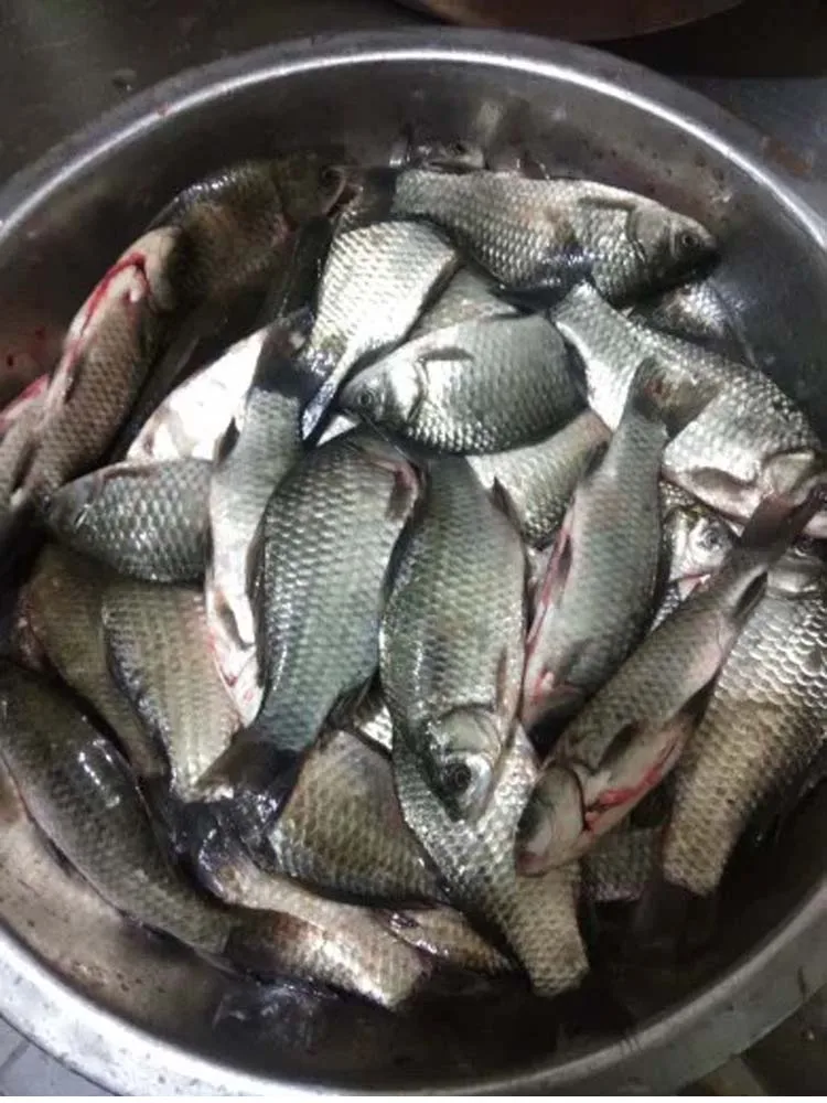Поле деятельности Рыбалка Карась рыбалка карп рыбалка приманка Phagostimulant для рыбалки на карпа, небольшой Yue гнездо Материал составов адджуста