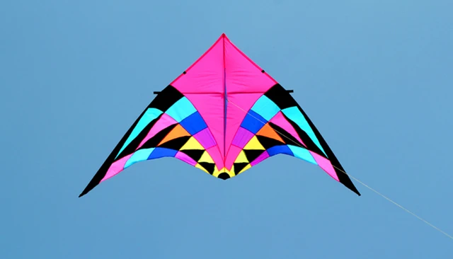 Free shipping large delta kite for adults flying toys ripstop nylon sport kite string reel dragon kite cerf volant parachute 2