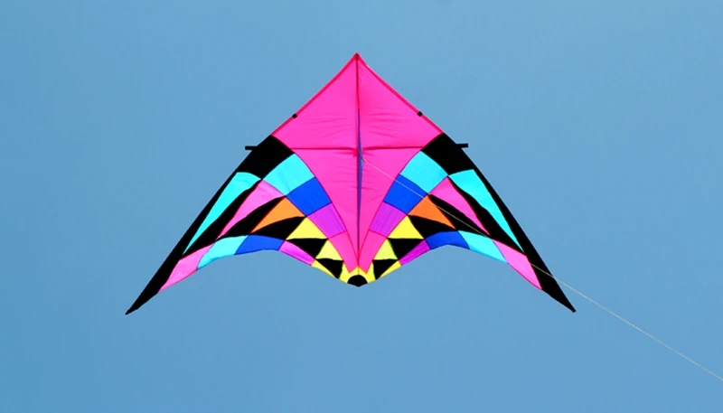 Free shipping large delta kite for adults flying toys ripstop nylon sport kite string reel dragon kite cerf volant parachute 2