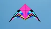 Free shipping large delta kite for adults flying toys ripstop nylon sport kite string reel dragon kite cerf volant parachute 2