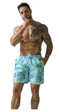 

2021NEW Men's Green Leaf Print Beach Pants Casual Shorts quick-drying Surfing Swimming Trunks Running Gym Plus Size Swimming