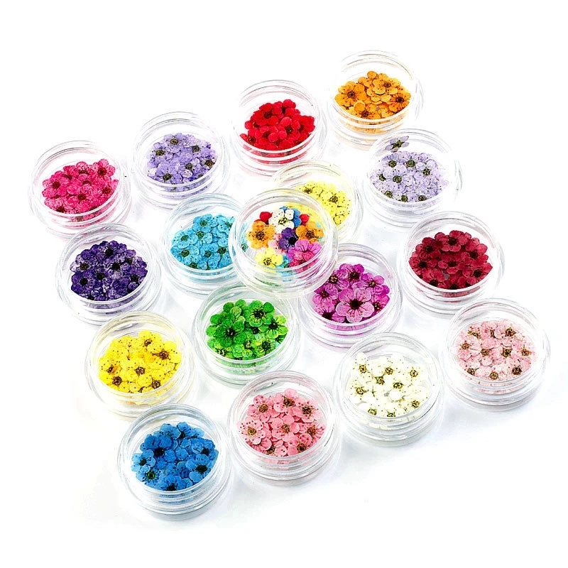 

17Pcs/Set 3D Nail Art Decoration Mix Dried Flowers Nail Decorations Jewelry Natural Floral Leaf Stickers Nail Art Decals Women