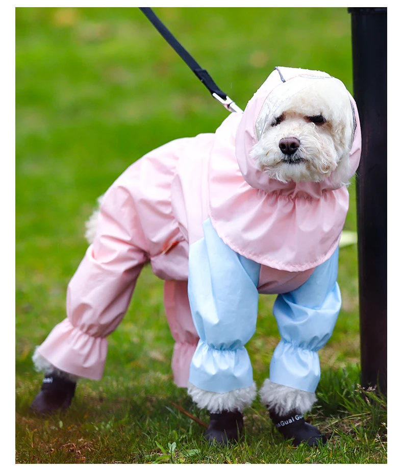 köpek için yağmurluk