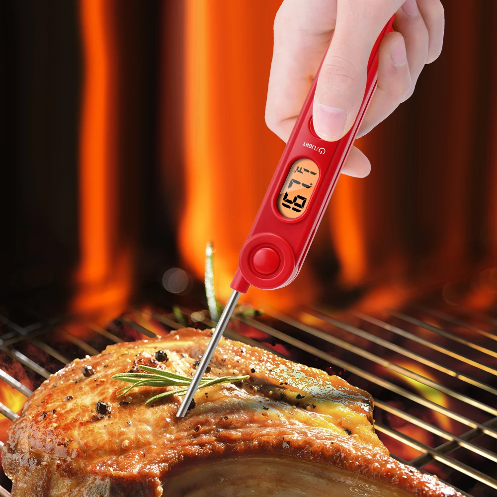 ThermoPro TP-02S 5 Seconds Instant Read Meat Thermometer Digital Cooking  Food Thermometer with Long Probe for Grill Candy Kitchen BBQ Smoker 