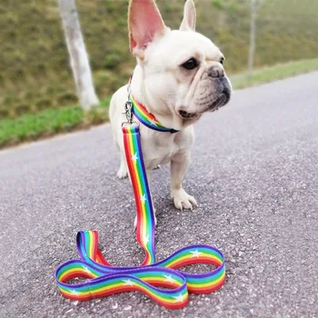 

Pet Colorful Neck Strap Adjustable Collar With Seatbelt Buckle And Durable Leash And Leash Ring Excellent Material Fashion New