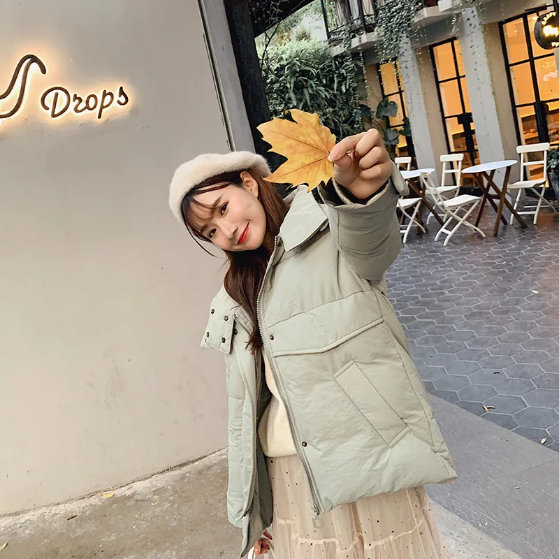 

2019 Autumn And Winter New Style Versatile down Jacket Women's Loose-Fit Network kapok yi Women's Fashion Korean-style Hooded St