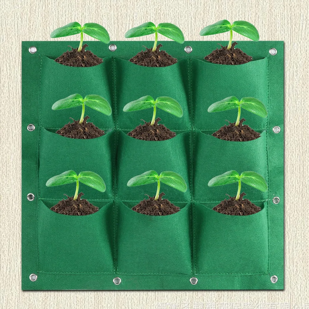 9-дюймовый Карманный фотографический плантатор (зеленый) | Дом и - Цена: 1 377,00 руб.