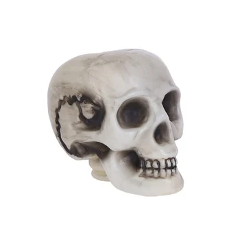 

6PCS Halloween Realistic Skeleton Bones Skull For Best Halloween Party Haunted House Decoration And Spookiest Graveyard Scene