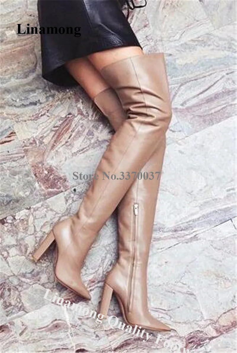 

Linamong New Fashion Winter Women Pointed Toe Over Knee Chunky Heel Boots Slim Style Thigh Long Thick High Heel Boots Shoes