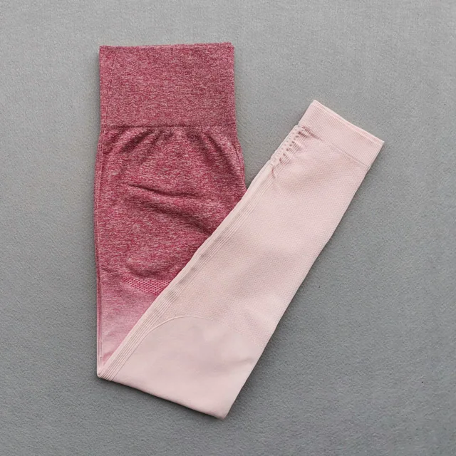 Pink Pant s Женский комплект для йоги, одежда для спортзала, Омбре, бесшовные градиентные леггинсы+ Топ с длинным рукавом, спортивный костюм для тренировок, Женский комплект для фитнеса, одежда для активного отдыха - Цвет: Pink Pant s