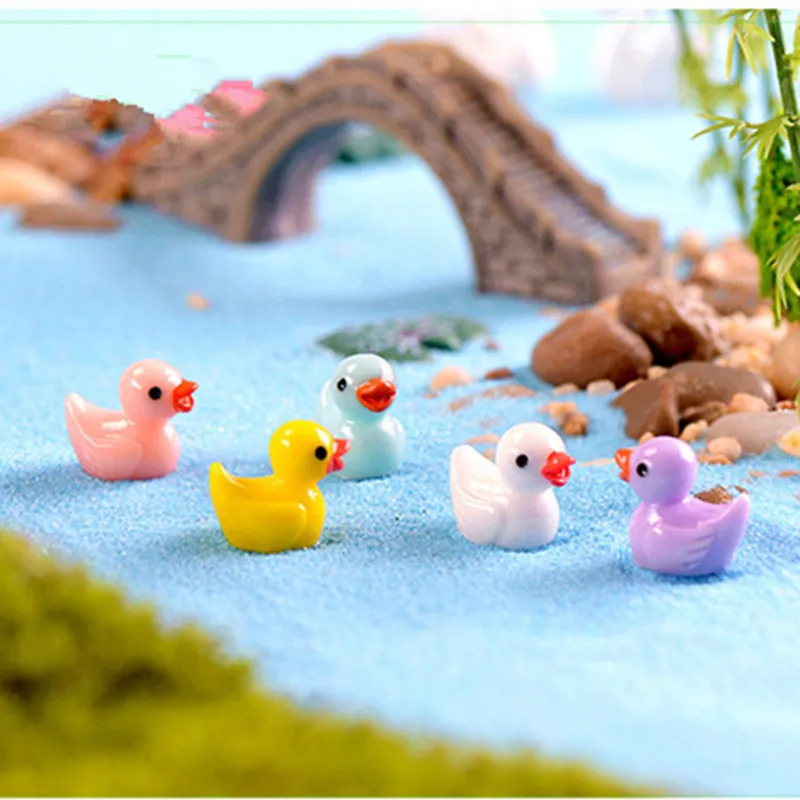 10pc鸭子c (7)