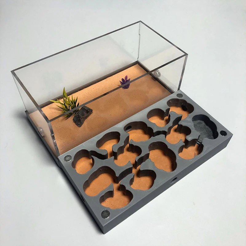Granja de hormigas acrílicas hidratante con impresión 3D, nido de hormigas ecológicas con área de alimentación, hormigero de hormigón, taller de hormigero para mascotas