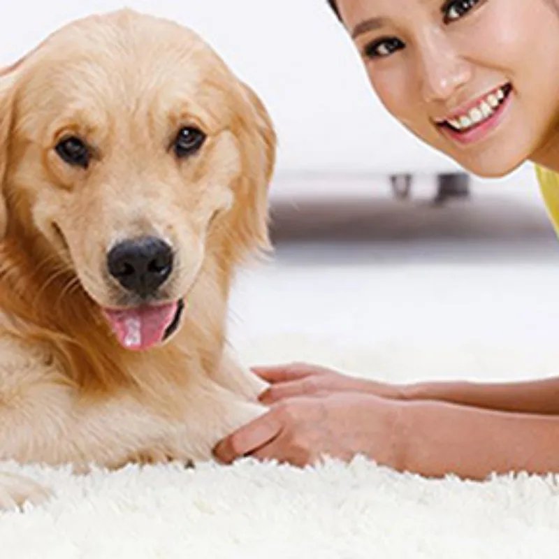 Shower Heads Water Saving High Pressure Handheld Shower Heads Pet Shower Sprayer