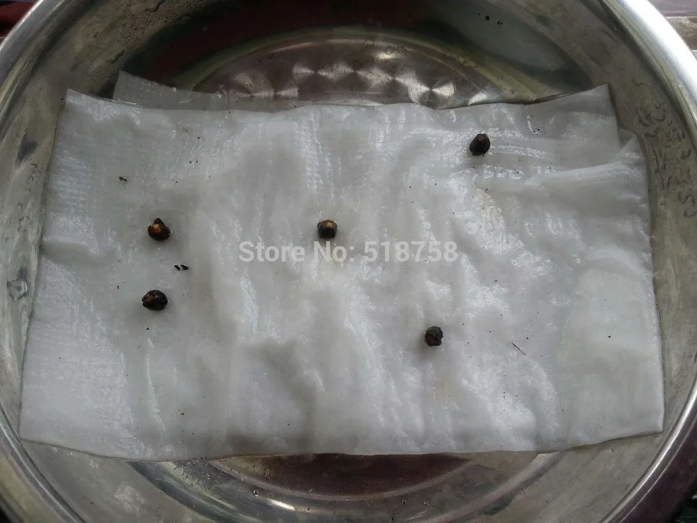 Натуральная! 10 шт Свежие Редкие тропеоловые Nasturtium S Easy ing flower S(15-F0023