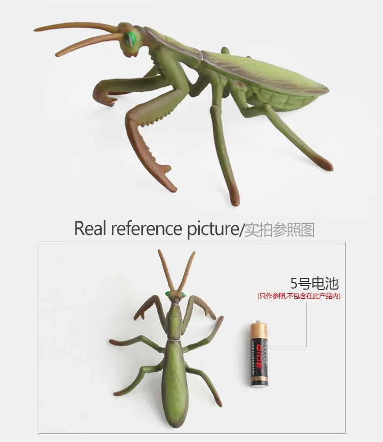 9006345039_1793268619