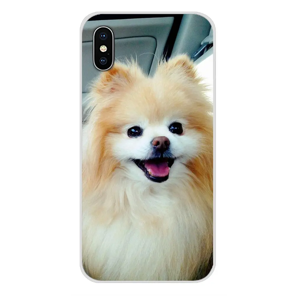 images 11 Для samsung Galaxy S3 S4 S5 Mini S6 S7 Edge S8 S9 S10 Lite Plus Note 4 5 8 9 Pomeranian dogs милый силиконовый чехол для телефона - Цвет: images 11