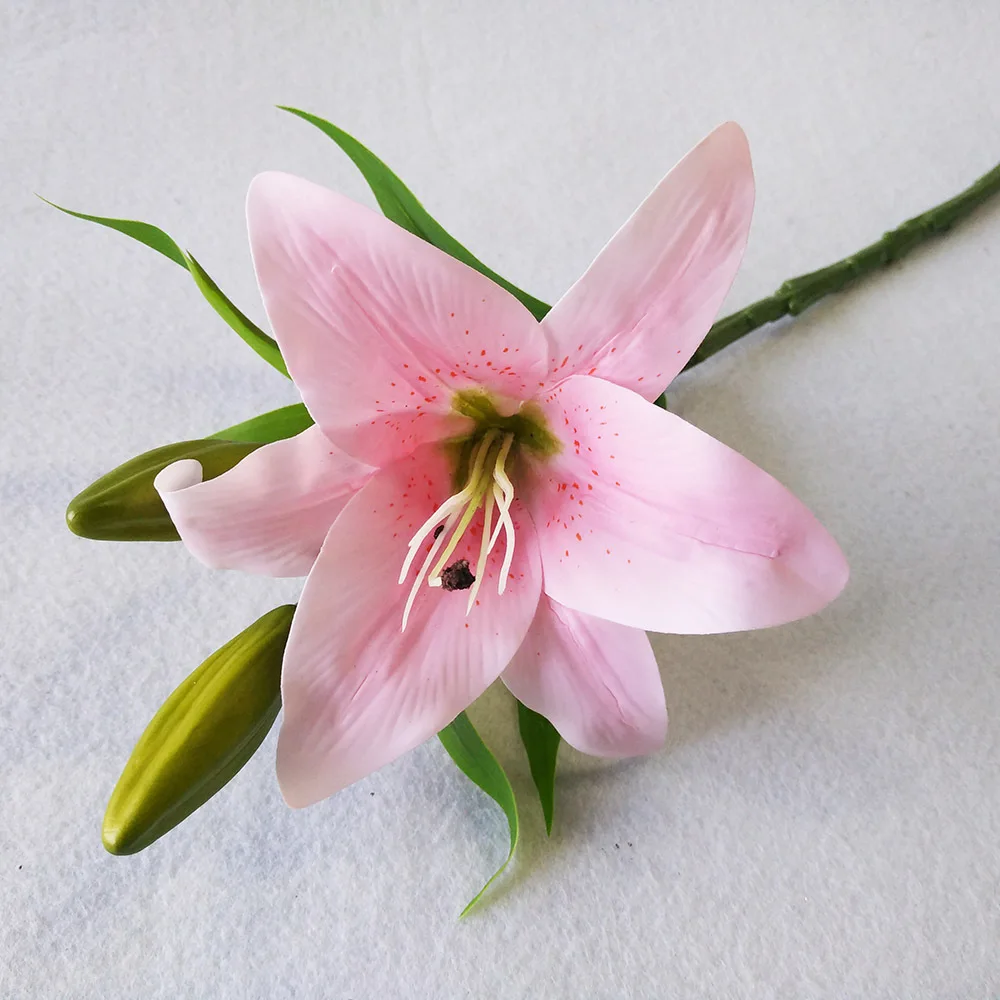 28-3800188367_831230203