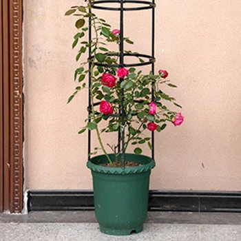 

Thickened Root-Controlling Pot Vine Moon Rose Clematis Vine Plant Special Pot