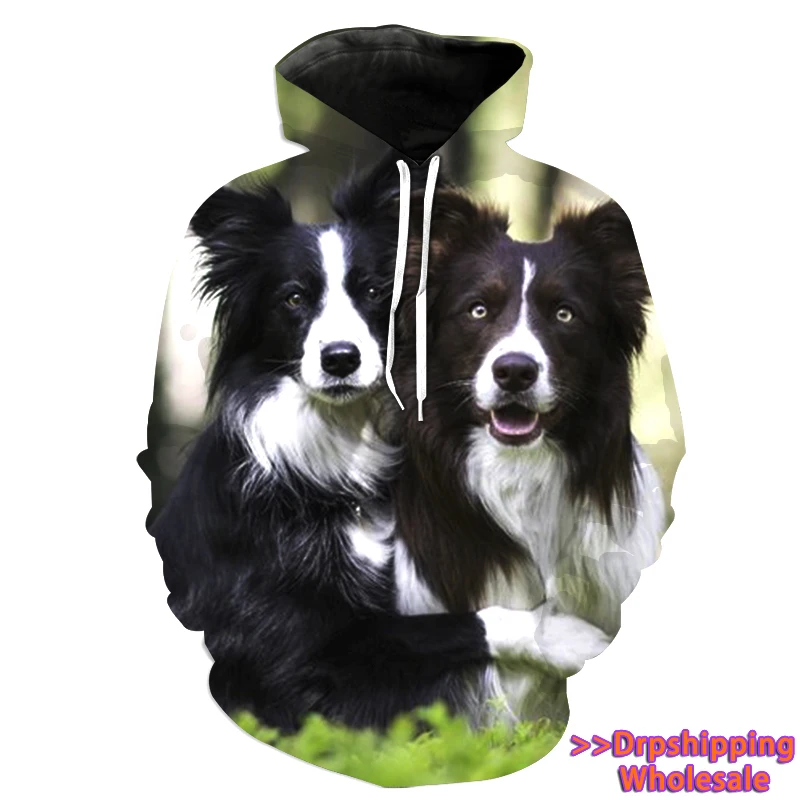 border collie jumper