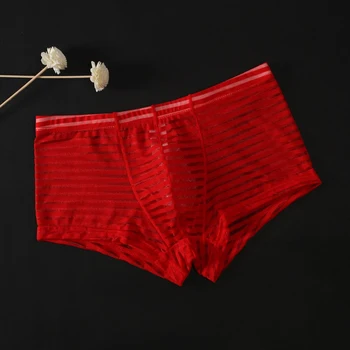 

Mens Sexy Underwear Mesh Perspective Boxer Briefs Low-waisted Briefs M~3XL