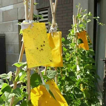 

20Pcs Dual-Sided Sticky Fly Paper Yellow Traps Insect Glue Catche 20*25CM Sticky Fly Papers Brand New