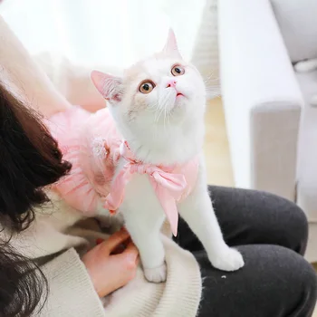 

Spring Pet Cat Dresses Cute Cat Dress Lace Wedding Skirts Small Cat Clothes Spring Clothing For Pets Party Costume OO50QZ