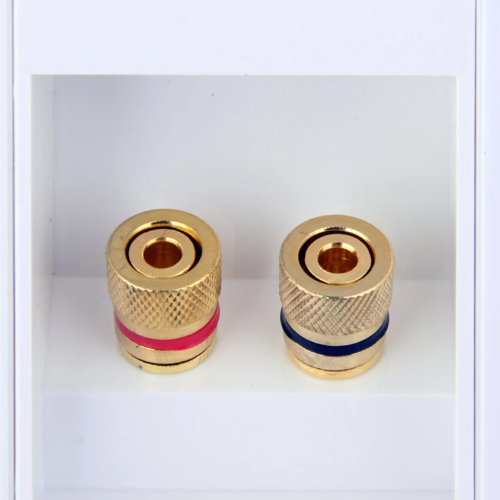 2pcs Speaker TERMINAL Wall Face Plate Binding Post Banana Plug Port