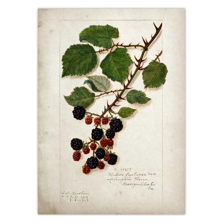 H01c1d53966364290a9d8a38a9ecc5b3dv