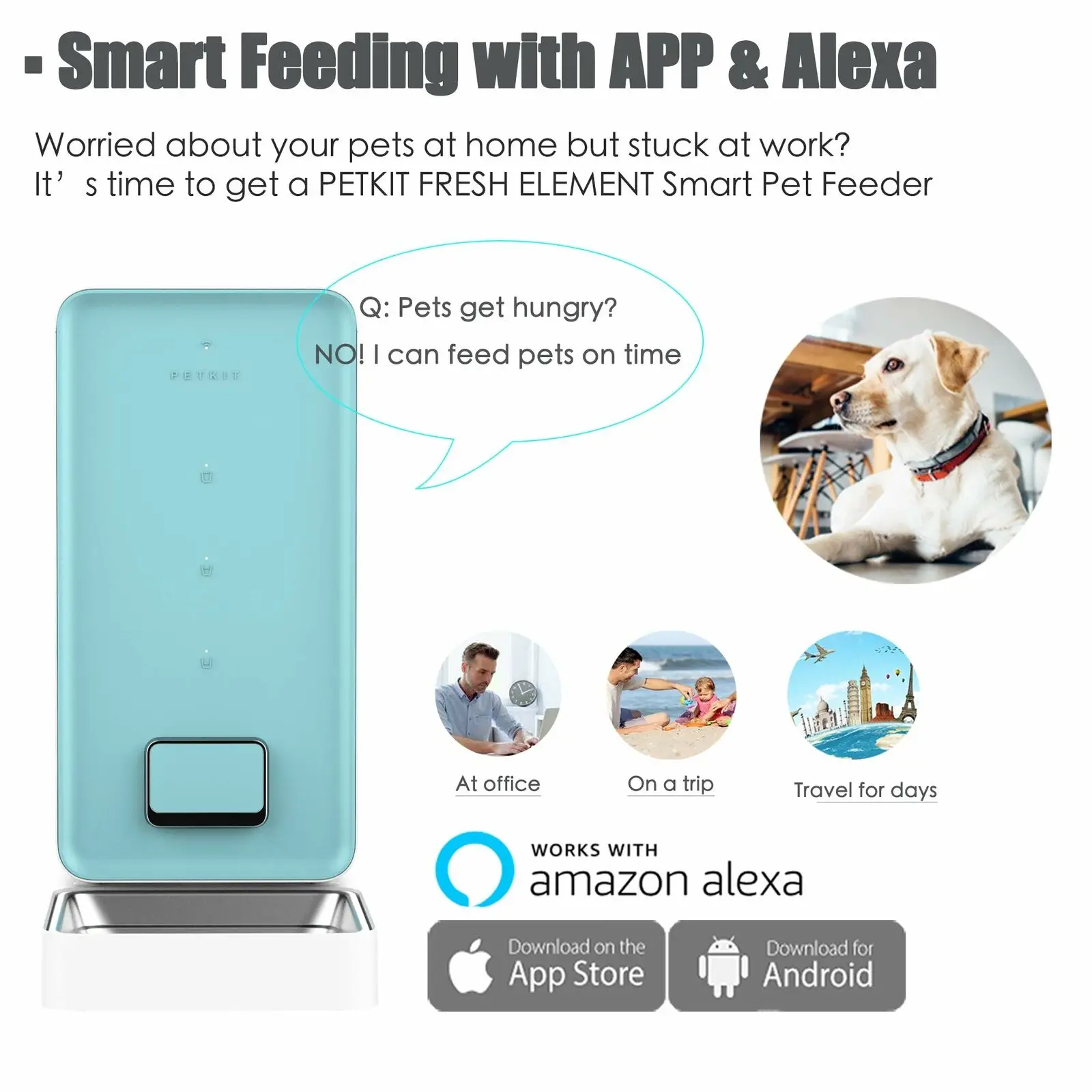 q pets automatic pet feeder manual