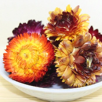 

100g free shipping natural dried Bracteantha bracteata flowers&Colorful Daisy flowers&dried Colorful Chrysanthemum flowers