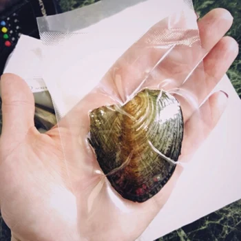 

Freshwater Cultured Oyster Wish Pearls Vacuum-pack, Pearl Mussel Shell with Pearl Inside