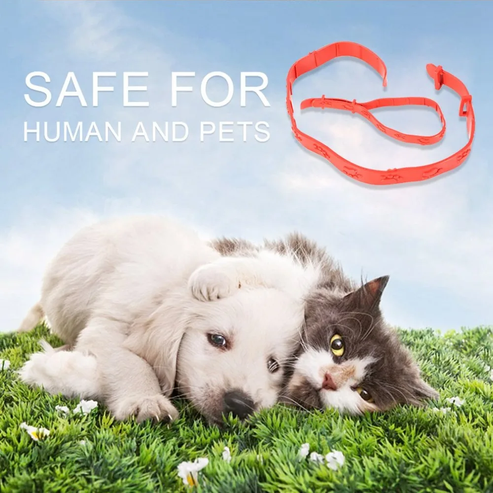 YY660400-C-20190629-1