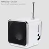 Mini Digital Portable Radio Fm Mini Radio Internet Fm Radio speaker USB SD Card Player For Mobile Phone Pc Music Player Radv26 ► Photo 2/6