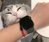 Watch Accessories