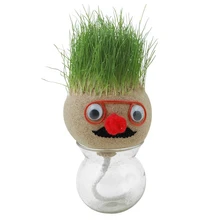 

Mini Growing Grass Head Education Toys Grass Head Dolls Children Kids Craft DIY Gifts