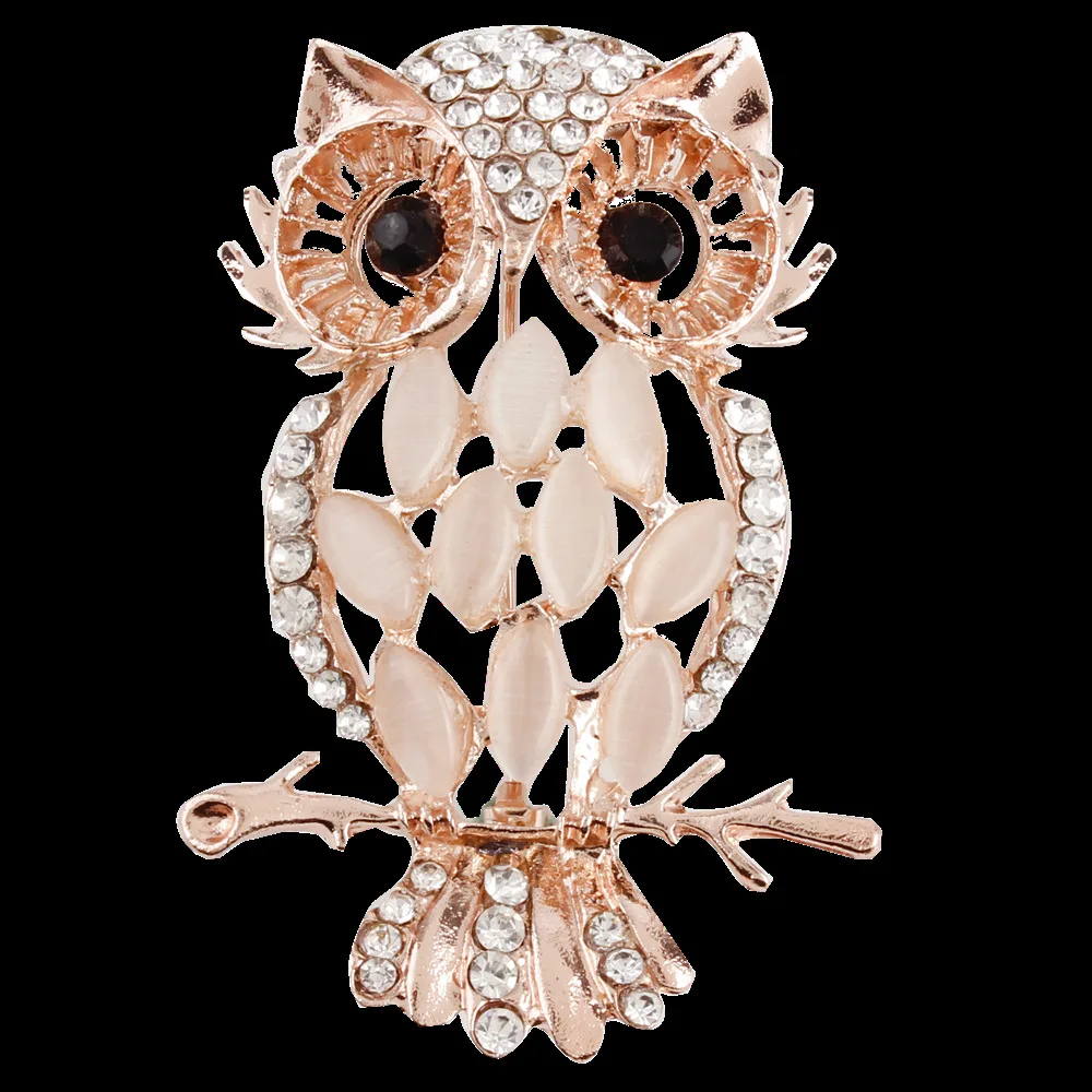 11050553581_663338886