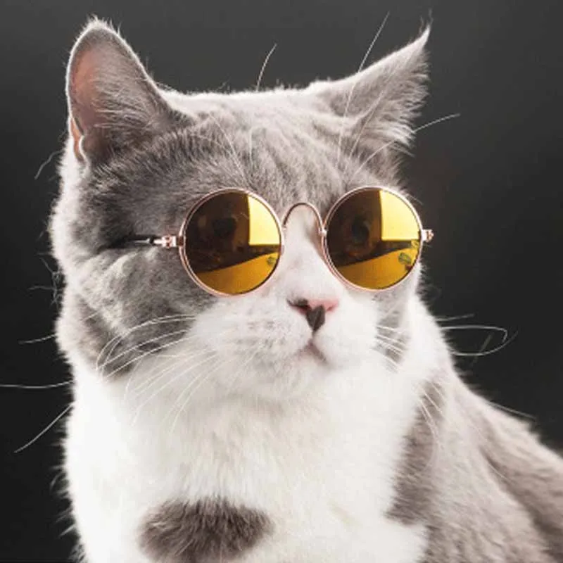 1PC Doll Accessories Round Eyeglasses Pink Glasses Sunglasses American Girl Toy Photo Props Pet Dog Cat Sunglasses 4
