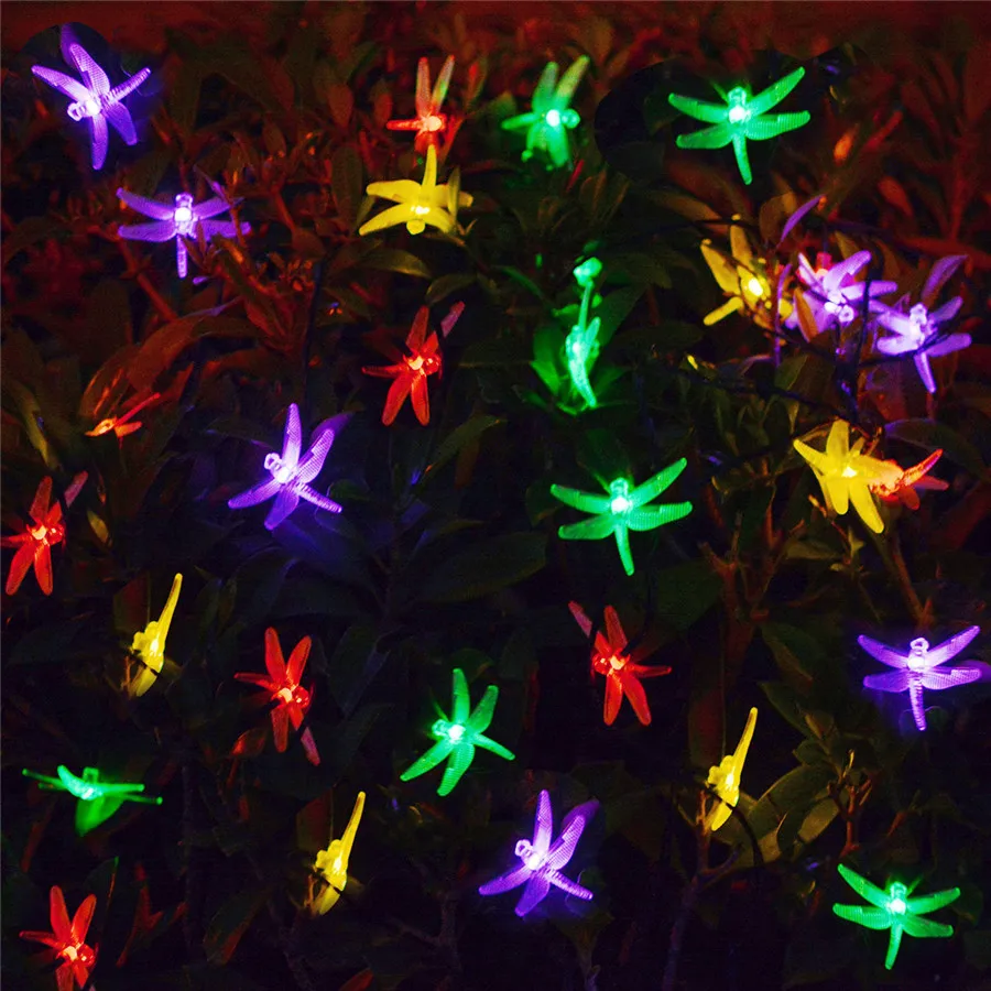 9308422041_1914400649