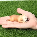 Bulldog H