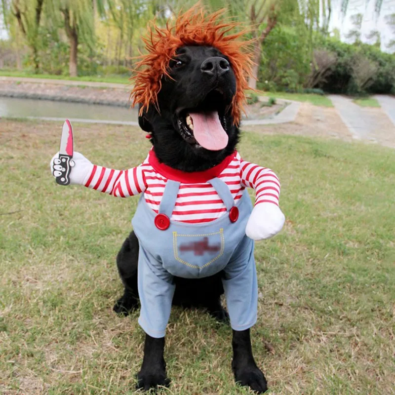 Funny Large Dog Halloween Costumes