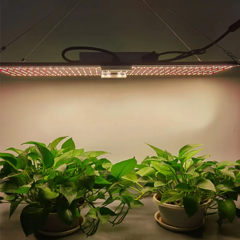 led grow ceiling lighting 