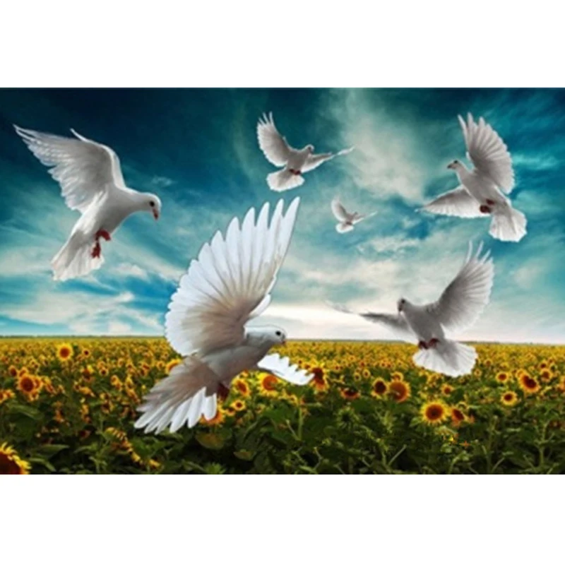 cross-Stitch-souvenir-artistic-photos-Rhinestone-Crafts-Diamond-Paintings-Full-Diamond-manual-bedroom-pigeon-diy-5D