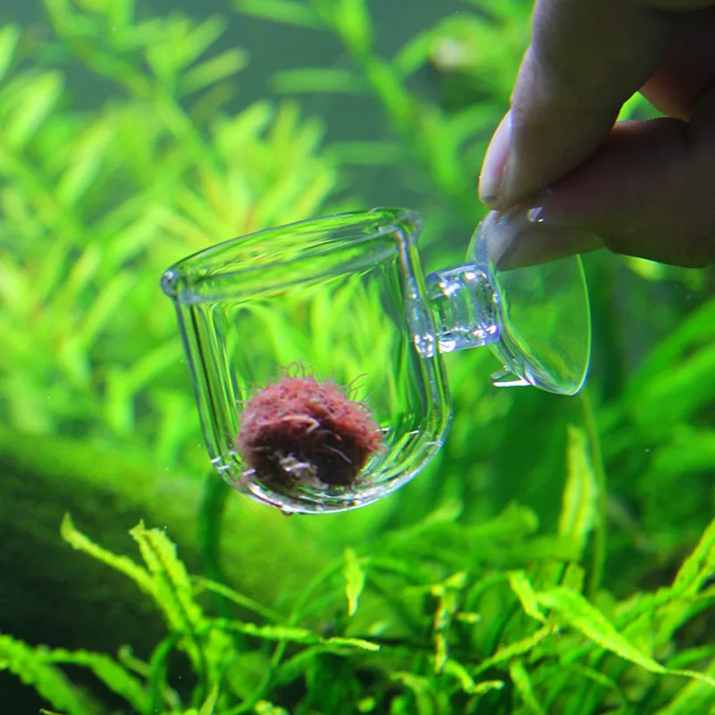 Аквариум стеклянный рыбный Фидер для кормления аквариум для Крови червь нематод чашка для кормления пластиковая воронка кормушка с присосками