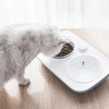 

15 Degrees Tilt Angle Dog Food Bowls Cat Pet Automatic Water Dispenser Dishes Food Water Feeder For Dogs Cats #g